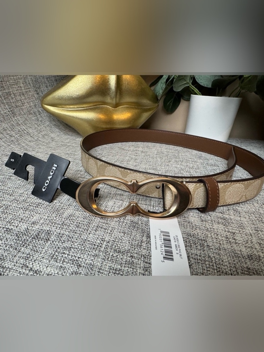 Coach Beige Signature Canvas Belt with Brown Trim & Gold Double-C Buckle